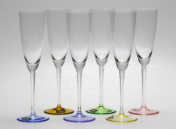 Goblets set for champagne Harlequin 6/6 SUZANNE