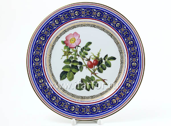 Plate decor. Wild rose