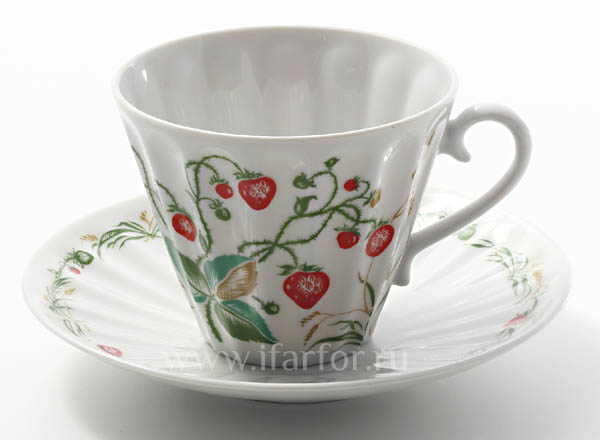 Cup and saucer tea Appetizing Radial