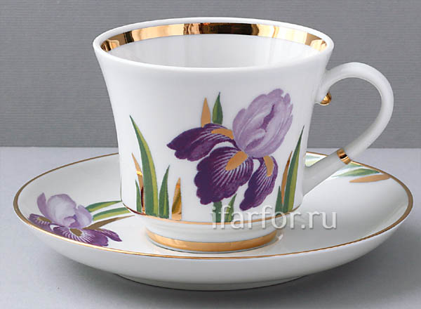 Cup and saucer tea Irises Banquet