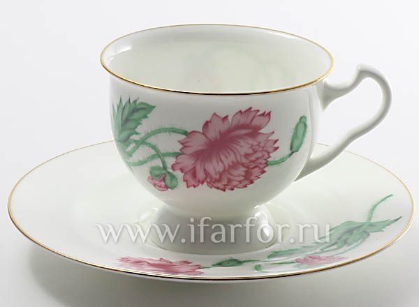 Cup and saucer tea Olympia Isadora