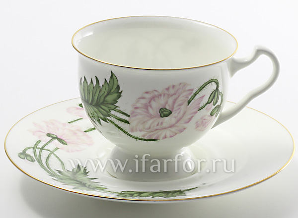 Cup and saucer tea Kind of peony Isadora