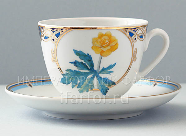 Cup and saucer tea Flowers and berries of Russia. Gold kupavka Spring