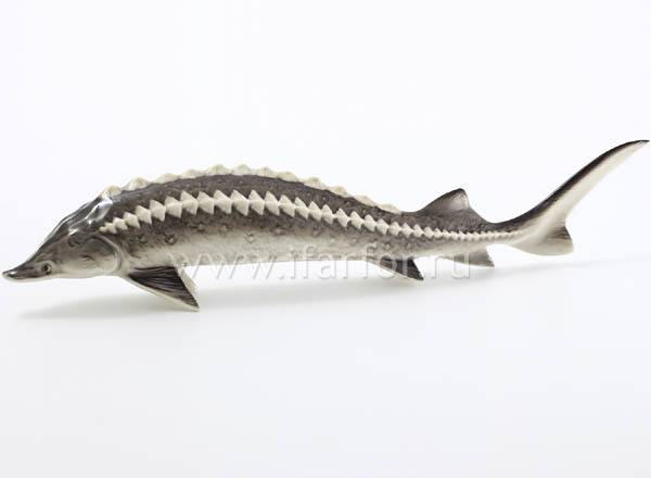 Sculpture Sturgeon (hang to the wall)