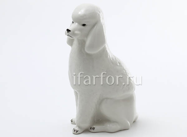 Sculpture Poodle Indefined
